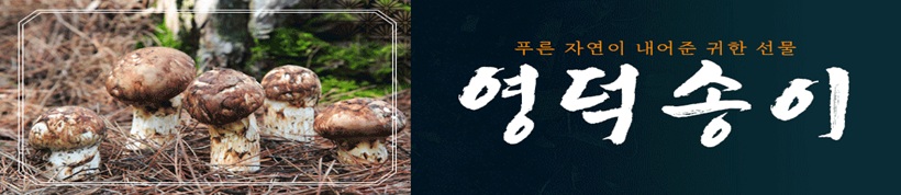 영덕송이